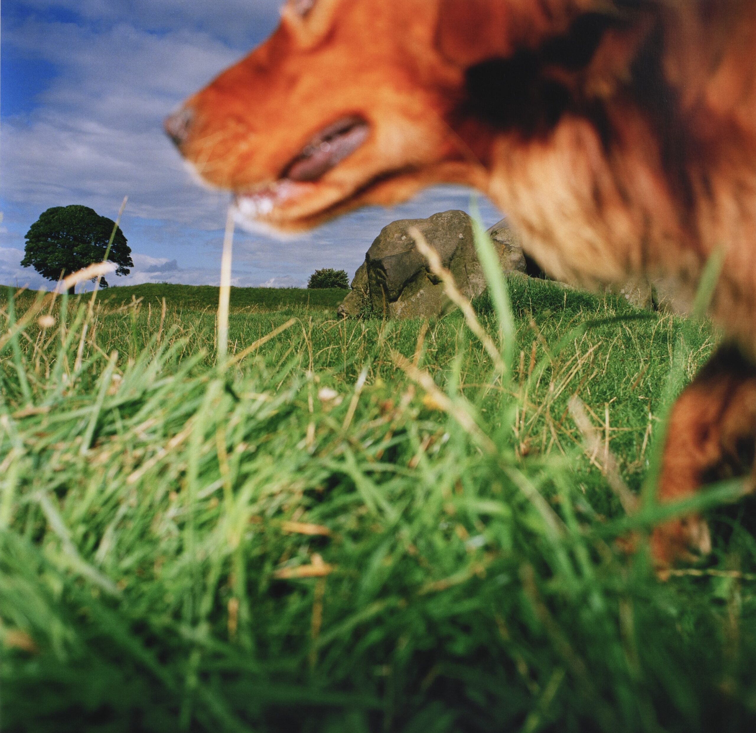 Featured Image for Sectarian Murder series (1988)